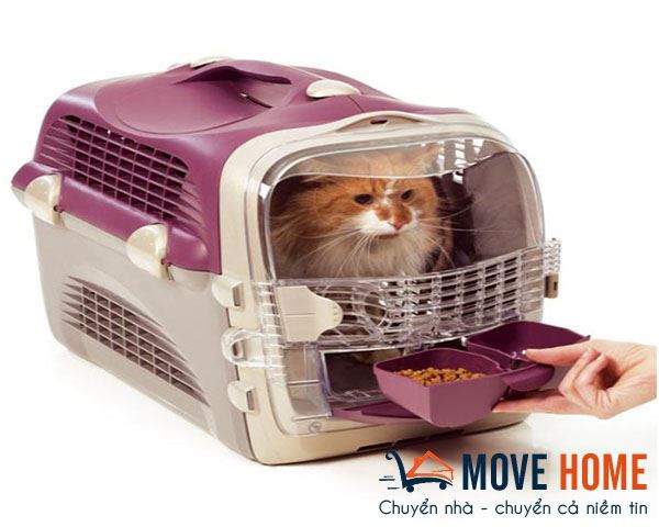 Dịch vụ vận chuyển thú cưng Hà Nội đáng tin cậy