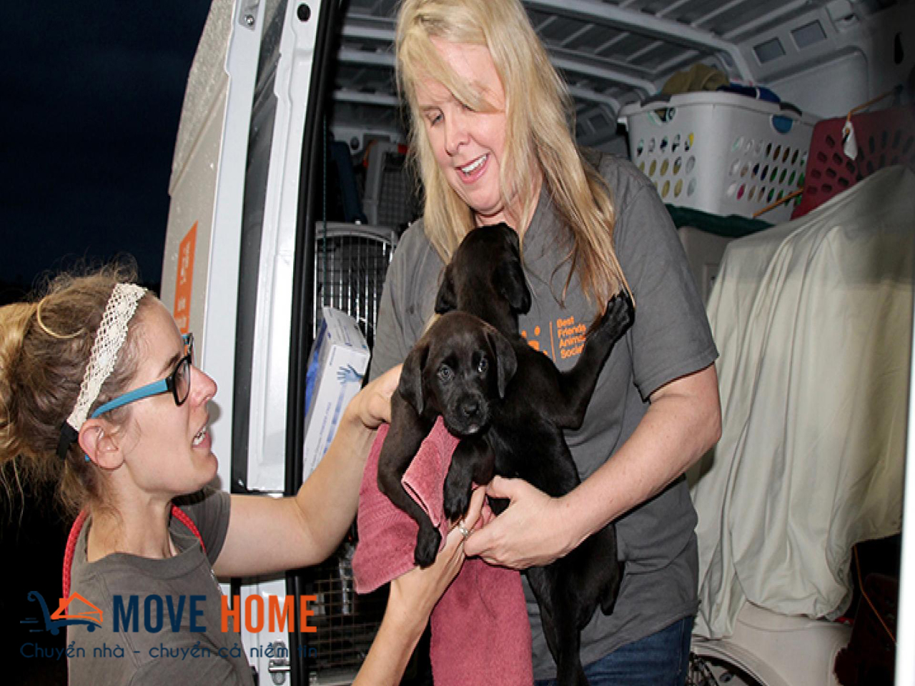 Dịch vụ vận chuyển thú cưng an toàn và siêu tiện lợi