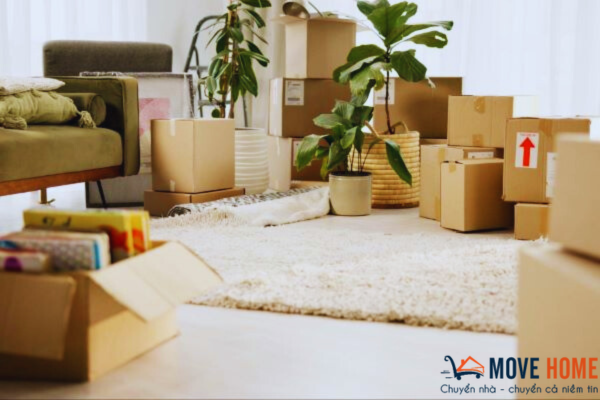 Dịch vụ chuyển nhà trọn gói phường Ô Chợ Dừa có gì nổi bật